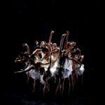 Kép: Hattyúk tava a Margitszigeten