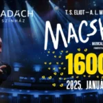 macskák 1600