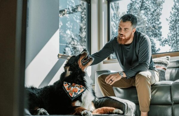 kutyabarát kutya szagol