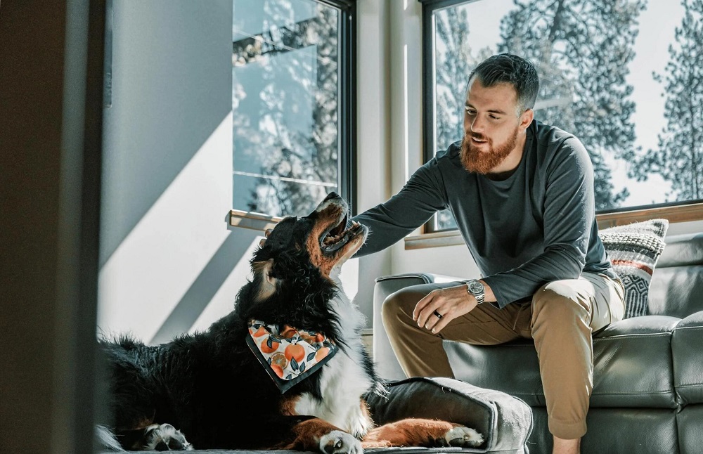 kutyabarát kutya szagol